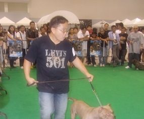 Owners lead their prize pets around the ring for the judges to inspect.